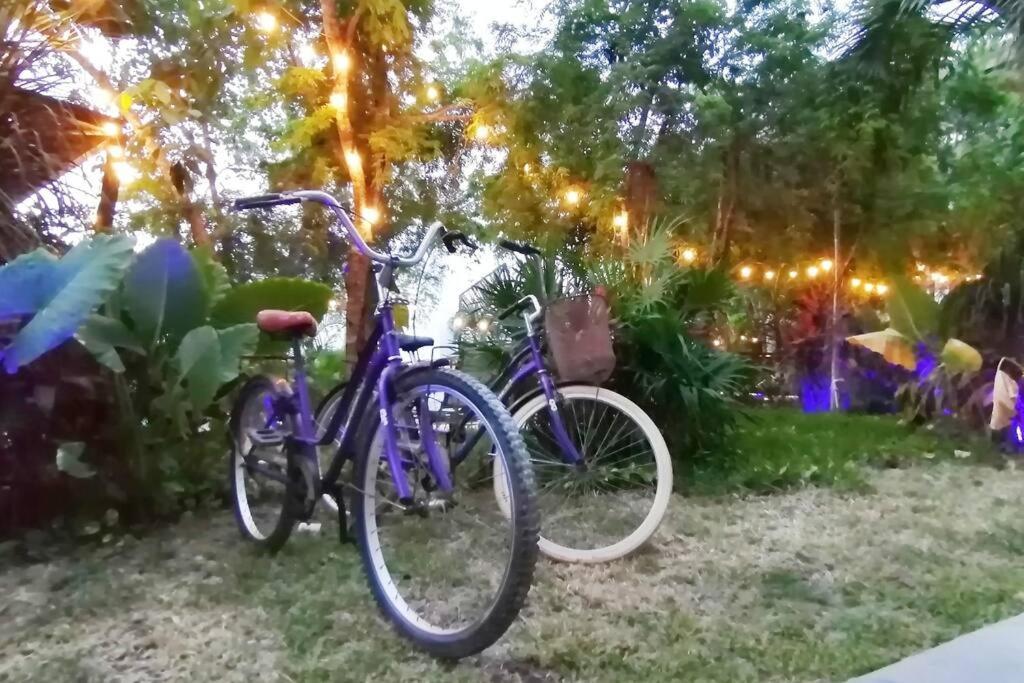 Dk31 Wifi 600Mb, Cheap Scooters By Moikkarentals Tulum Pueblo Buitenkant foto